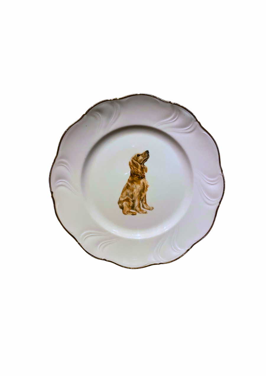Sveva's Home Porcelain Dog Plate Set of 4