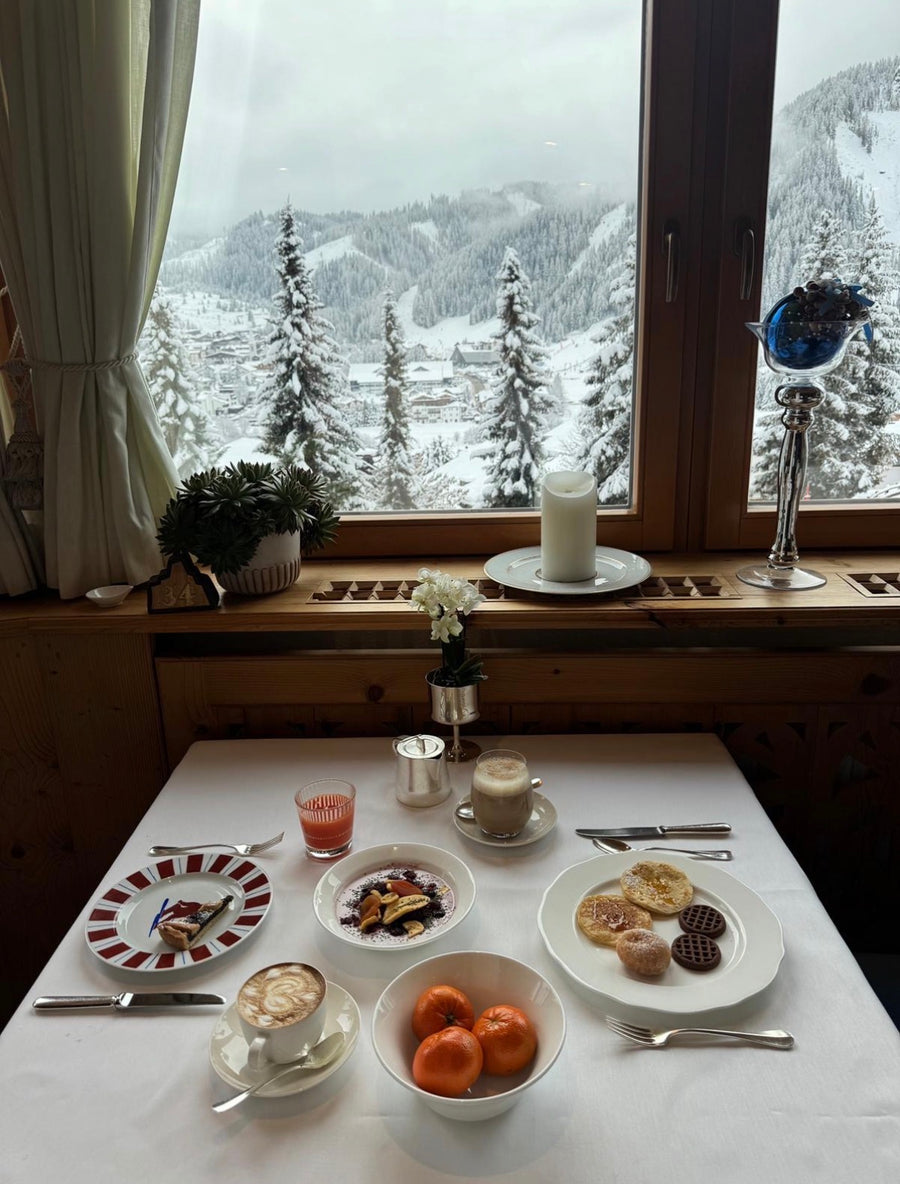 Sveva's Home Porcelain Ski Plate Big Dining Plates Set of 4