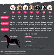 Cable Knit Dog Sweater – 100% Wool