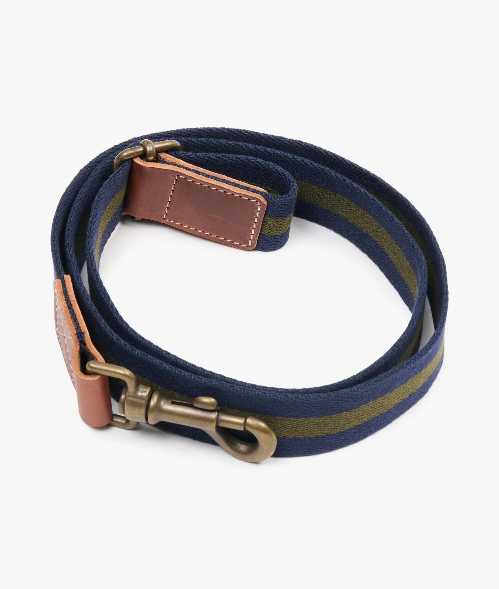 Dog Leash - Medium Blue
