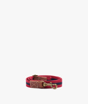 Dog Leash - Medium Red